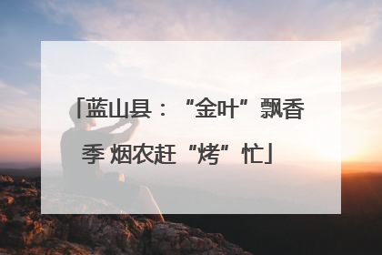 蓝山县：“金叶”飘香季 烟农赶“烤”忙