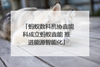 蚂蚁数科携协鑫能科成立蚂蚁鑫能 推进能源智能化