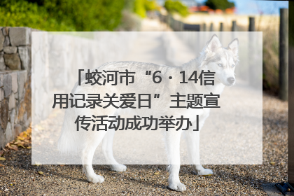蛟河市“6・14信用记录关爱日”主题宣传活动成功举办
