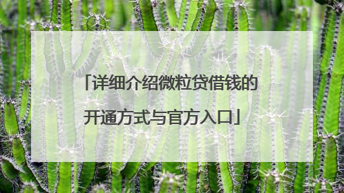 详细介绍微粒贷借钱的开通方式与官方入口