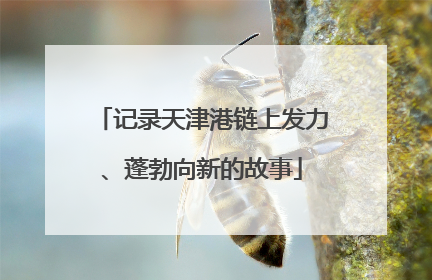 记录天津港链上发力、蓬勃向新的故事