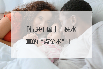 行进中国丨一株水草的“点金术”