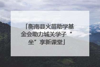 衡南县火苗助学基金会助力城关学子“坐”享新课堂