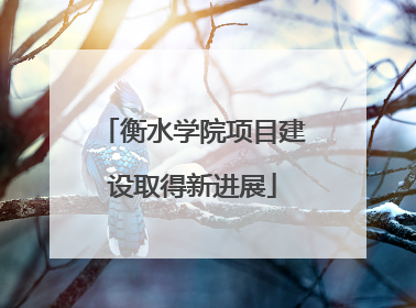 衡水学院项目建设取得新进展