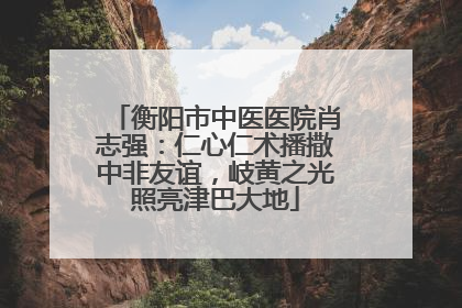 衡阳市中医医院肖志强：仁心仁术播撒中非友谊，岐黄之光照亮津巴大地