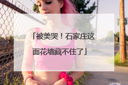 被美哭！石家庄这面花墙藏不住了