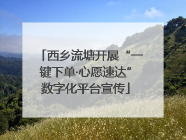 西乡流塘开展“一键下单·心愿速达”数字化平台宣传