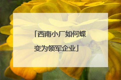 西南小厂如何蝶变为领军企业
