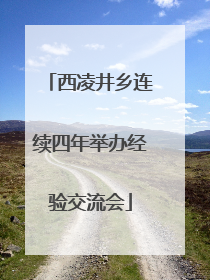 西凌井乡连续四年举办经验交流会