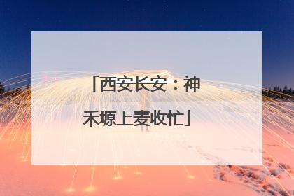 西安长安：神禾塬上麦收忙