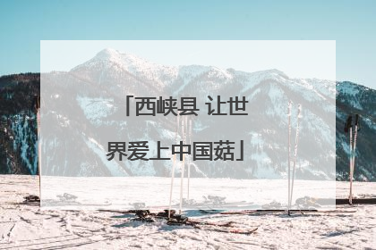 西峡县 让世界爱上中国菇