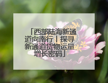 西部陆海新通道向南行丨探寻新通道货物运量增长密码