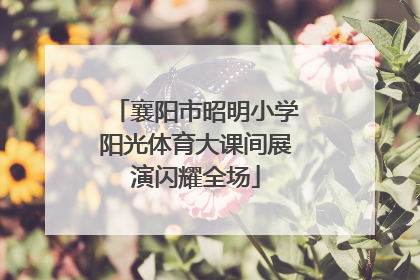襄阳市昭明小学阳光体育大课间展演闪耀全场