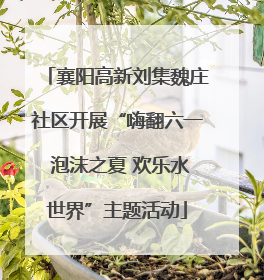 襄阳高新刘集魏庄社区开展“嗨翻六一 泡沫之夏 欢乐水世界”主题活动