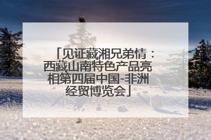 见证藏湘兄弟情：西藏山南特色产品亮相第四届中国-非洲经贸博览会