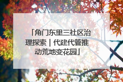 角门东里三社区治理探索｜代建代管推动荒地变花园