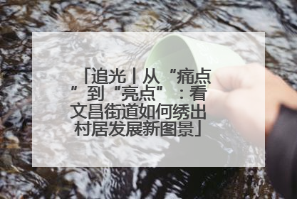 追光丨从“痛点”到“亮点”：看文昌街道如何绣出村居发展新图景