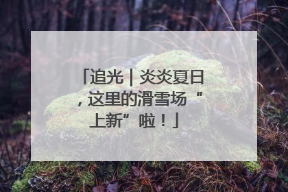 追光｜炎炎夏日，这里的滑雪场“上新”啦！