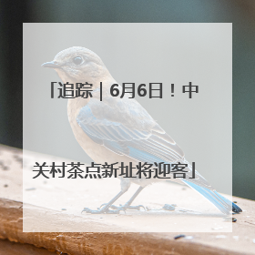追踪｜6月6日！中关村茶点新址将迎客