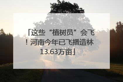 这些“植树员”会飞！河南今年已飞播造林13.63万亩