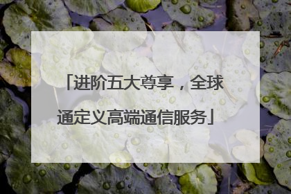 进阶五大尊享，全球通定义高端通信服务