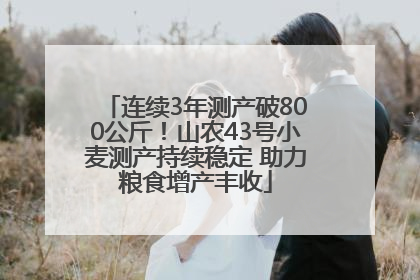 连续3年测产破800公斤！山农43号小麦测产持续稳定 助力粮食增产丰收