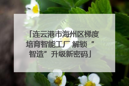 连云港市海州区梯度培育智能工厂 解锁“智造”升级新密码