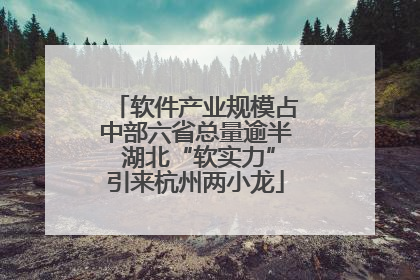 软件产业规模占中部六省总量逾半 湖北“软实力”引来杭州两小龙