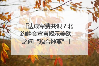 达成军费共识？北约峰会宣言揭示美欧之间“貌合神离”
