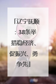 辽宁抚顺：38条举措稳经济、促振兴、勇争先