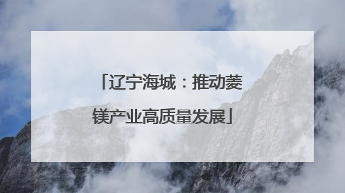 辽宁海城：推动菱镁产业高质量发展