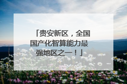 贵安新区，全国国产化智算能力最强地区之一！