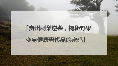 贵州刺梨逆袭，揭秘野果变身健康奢侈品的密码