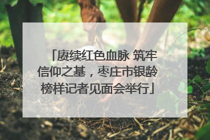 赓续红色血脉 筑牢信仰之基，枣庄市银龄榜样记者见面会举行