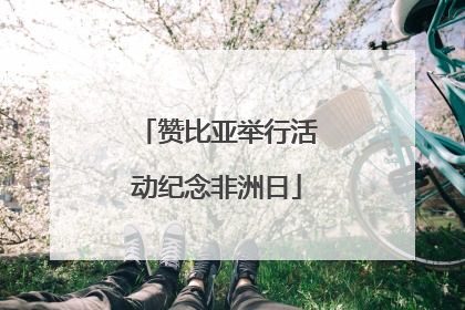赞比亚举行活动纪念非洲日