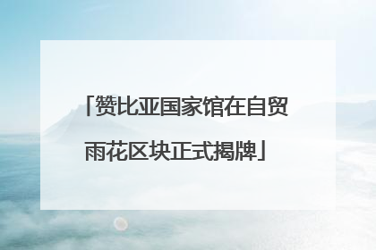 赞比亚国家馆在自贸雨花区块正式揭牌