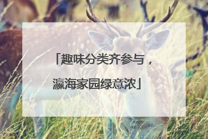趣味分类齐参与，瀛海家园绿意浓