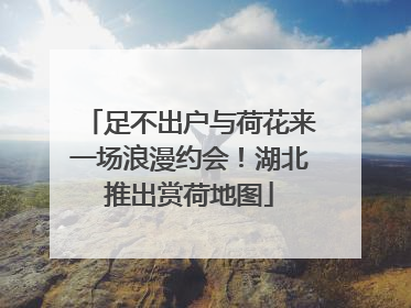 足不出户与荷花来一场浪漫约会！湖北推出赏荷地图