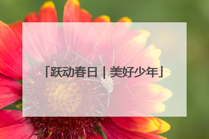 跃动春日｜美好少年