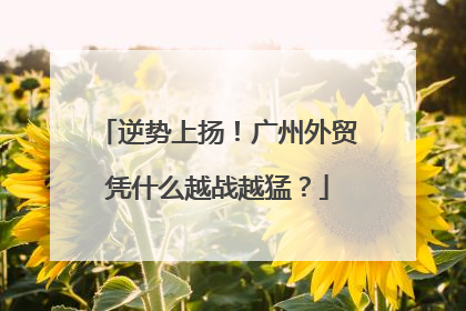 逆势上扬！广州外贸凭什么越战越猛？