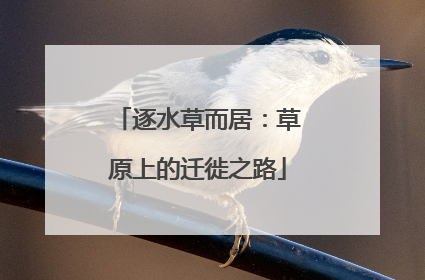 逐水草而居：草原上的迁徙之路