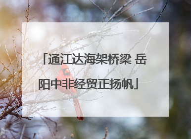 通江达海架桥梁 岳阳中非经贸正扬帆