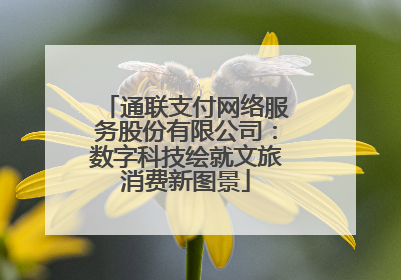 通联支付网络服务股份有限公司：数字科技绘就文旅消费新图景