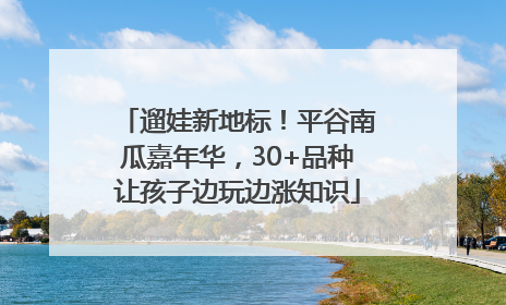 遛娃新地标！平谷南瓜嘉年华，30+品种让孩子边玩边涨知识