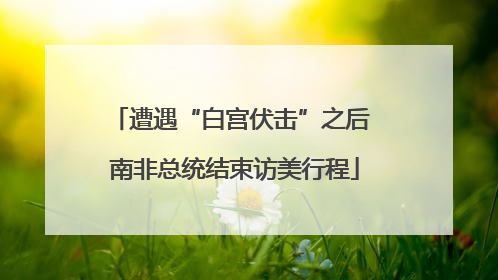 遭遇“白宫伏击”之后 南非总统结束访美行程