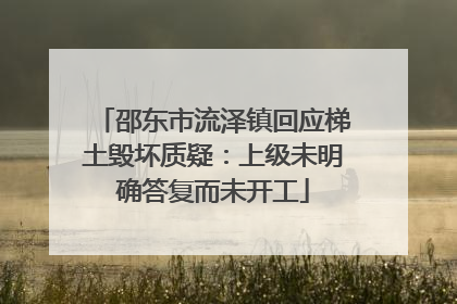 邵东市流泽镇回应梯土毁坏质疑：上级未明确答复而未开工