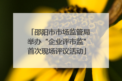 邵阳市市场监管局举办“企业评市监”首次现场评议活动