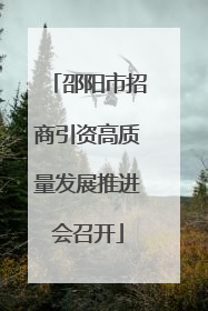 邵阳市招商引资高质量发展推进会召开