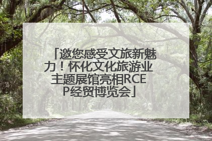 邀您感受文旅新魅力！怀化文化旅游业主题展馆亮相RCEP经贸博览会
