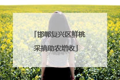 邯郸复兴区鲜桃采摘助农增收
